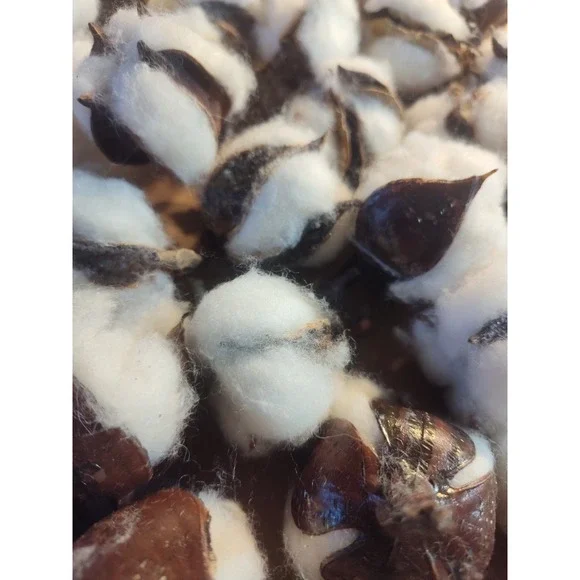 Real Cotton Balls Decor 40+ Pieces For Wreath Decor Cotton Bolls Balls‎ Natural - Picture 3 of 7
